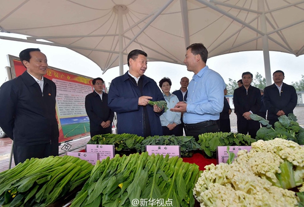 習(xí)近平：緬懷先烈、不忘初心，走好新的長征路
