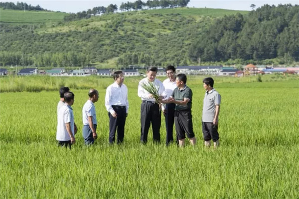 2015年，習總書記到過哪些地方？