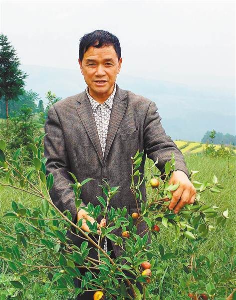[治國理政新實踐·重慶篇]重慶市豐都縣武平鎮瓦泥坪村村委會主任代朝國 不當老板當村官