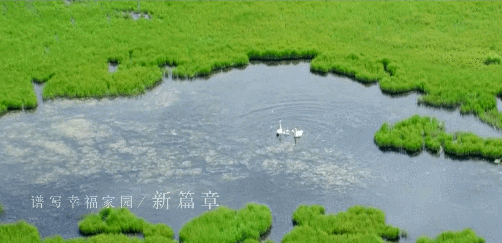 [宣傳片]新時(shí)代·風(fēng)從邊疆來(lái)
