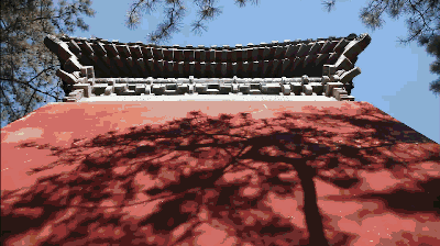 獨家視頻|這五年：英國小妹從北京到雄安，發(fā)現(xiàn)果然1+1+1>3！