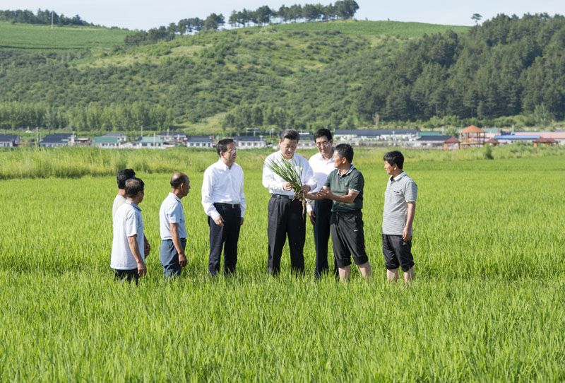 2015年習近平與群眾在一起的親密瞬間