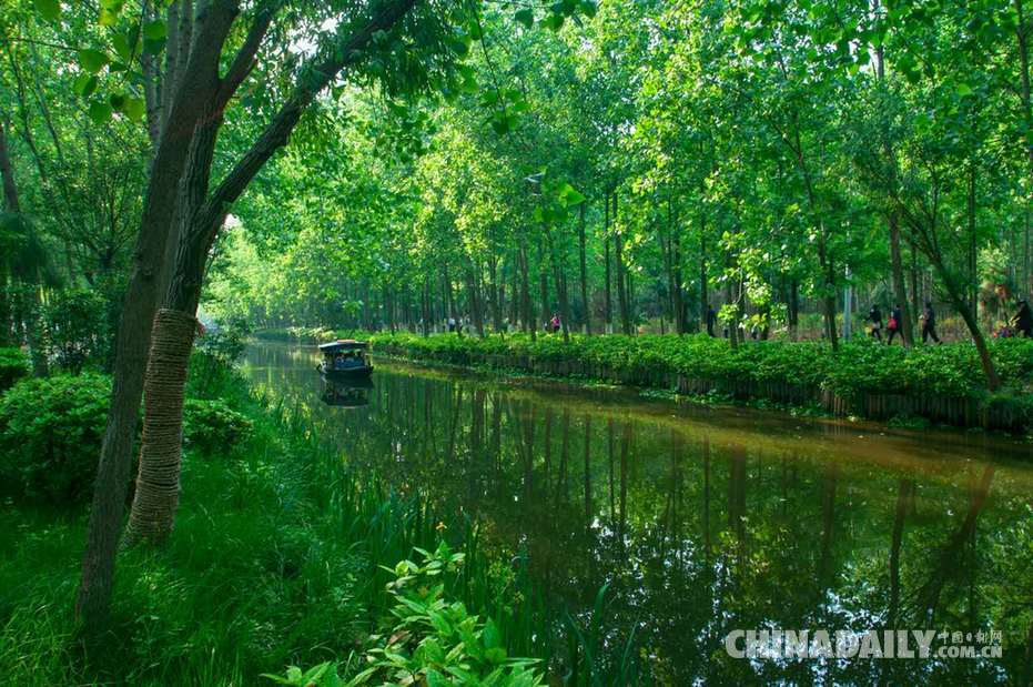 退耕還林還出國家級(jí)森林公園（組圖）