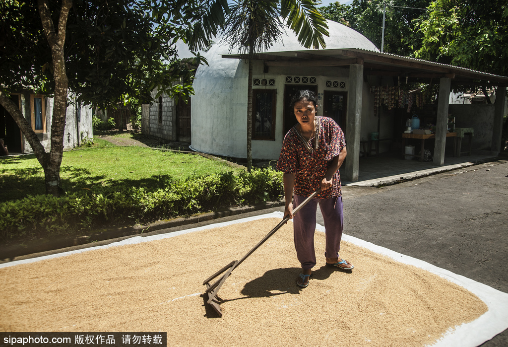 印尼海嘯十年后的災(zāi)民村 圓頂房屋造型奇特成旅游景點