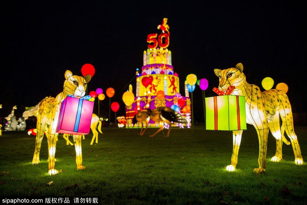 英國超大規(guī)模中國巨型燈籠會(huì) 豐富動(dòng)物造型燈飾亮相