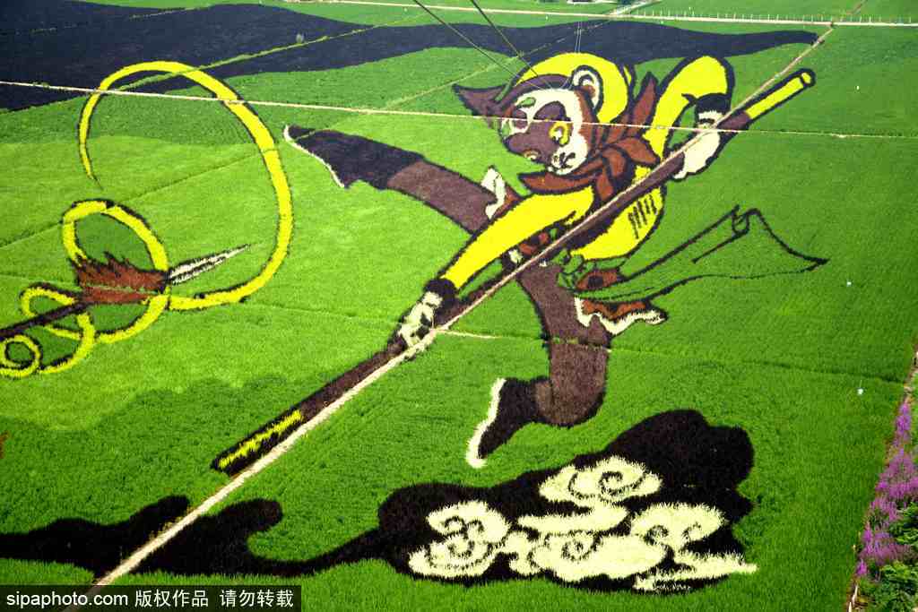 春回大地草木萌動(dòng) 盤(pán)點(diǎn)那些農(nóng)田光景返樸歸真