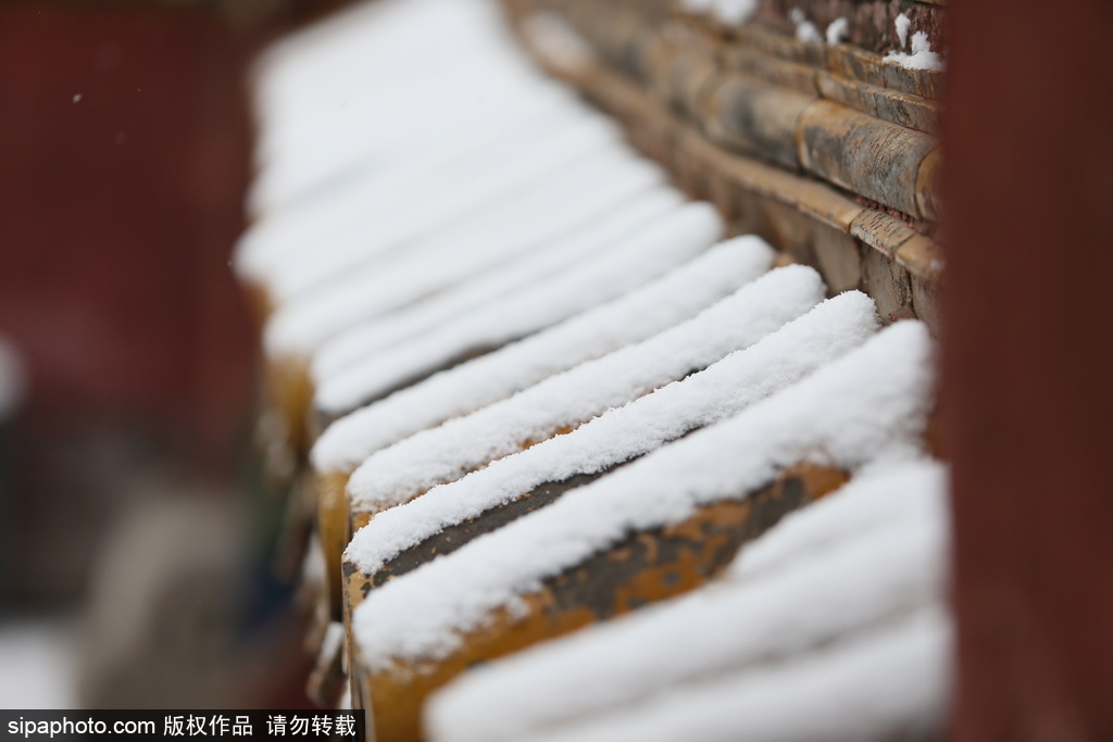 北京“鵝毛大雪”如約而至 故宮雪景美如畫(huà)