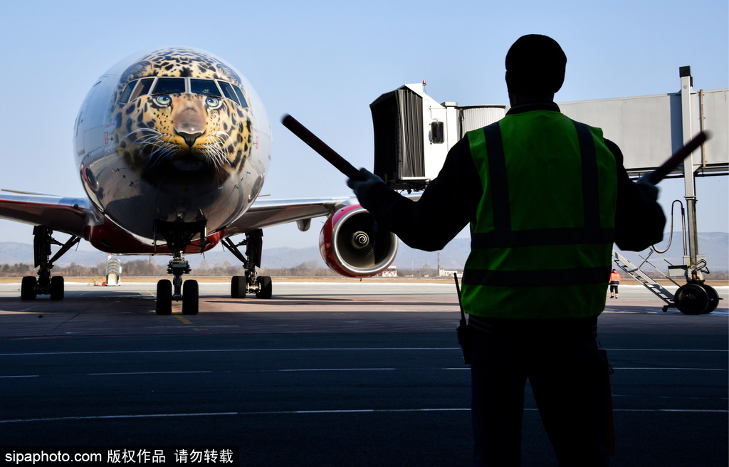 一頭豹子飛過(guò)來(lái)！俄羅斯飛機(jī)繪遠(yuǎn)東豹圖案萌態(tài)十足