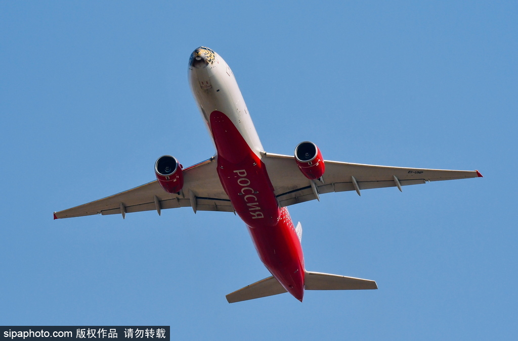 一頭豹子飛過來！俄羅斯飛機繪遠東豹圖案萌態十足