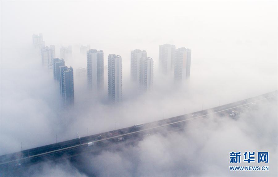 人間仙境！武漢現大霧天氣 高架橋宛如天路(組圖)
