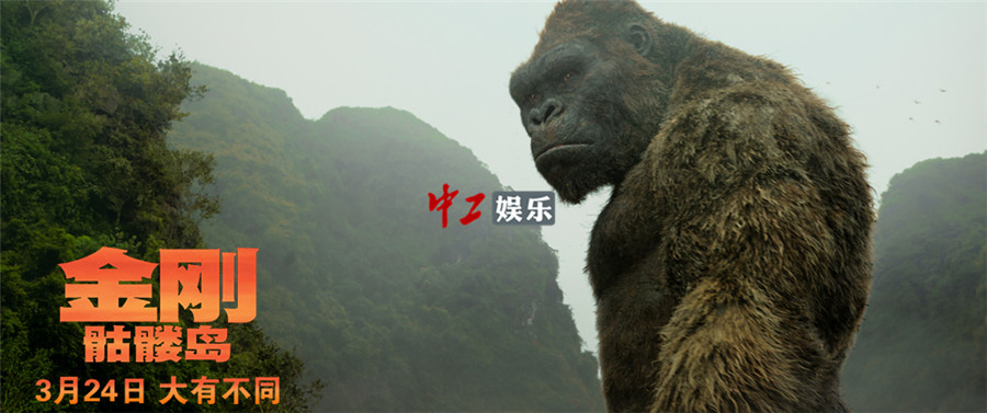 好評不斷！《金剛：骷髏島》群獸亂戰(zhàn)視效壯觀 最大金剛觸動人心