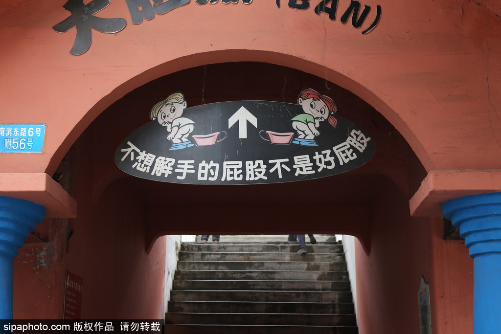 重慶：各式奇葩廁所集中亮相 無(wú)性別、宮殿式、露天廁所吸睛
