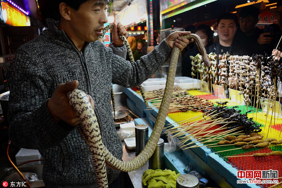 沈陽街頭現重口味“昆蟲宴”(組圖)