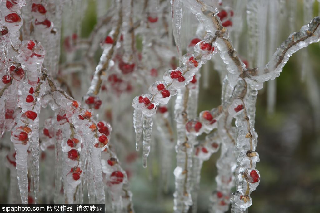 這個(gè)冬季太漫長(zhǎng)？ 盤點(diǎn)霧凇冰掛美景讓你忘記季節(jié)時(shí)間