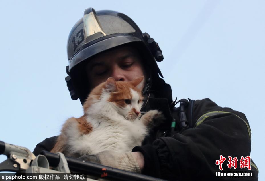 有愛！公寓樓天然氣爆炸 消防員救出被困小貓