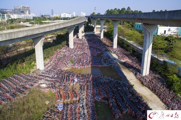 航拍廣州共享單車中轉(zhuǎn)站　密密麻麻如彈簧
