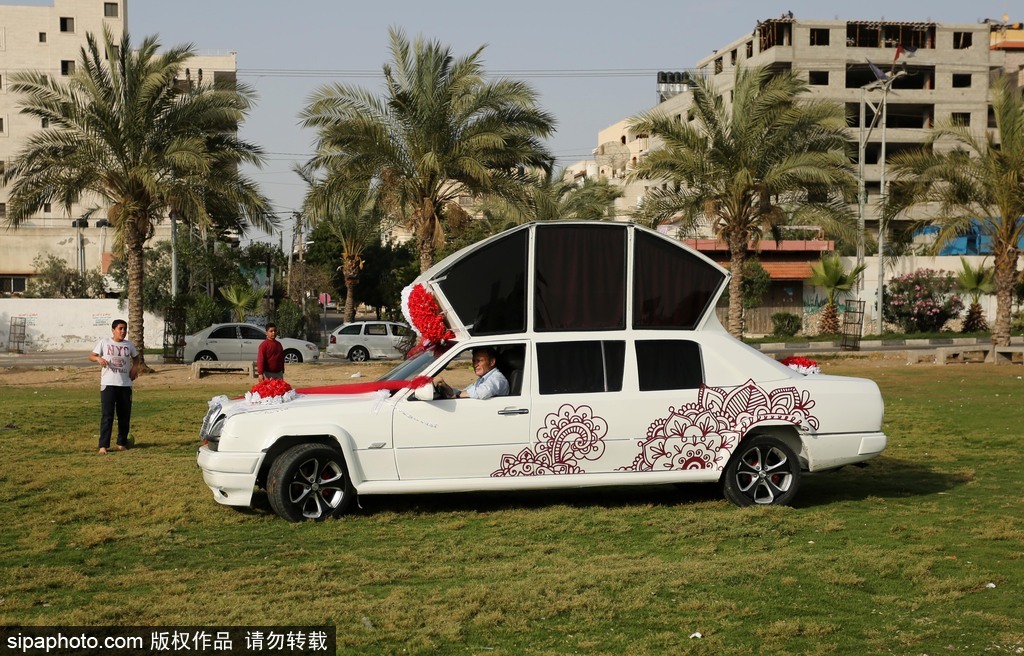 現(xiàn)代版“灰姑娘的南瓜馬車(chē)”：巴勒斯坦一男子別出心裁 改裝出華麗婚車(chē)