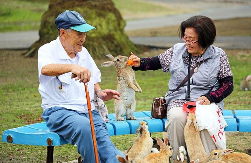 動物天堂！細數全球被動物“占領”的勝地