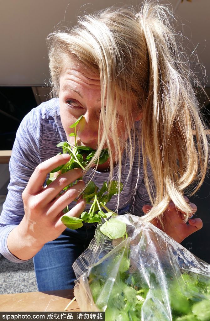 舌尖上的美食？英國吃豆瓣菜大賽眾選手大快朵頤瘋狂塞菜