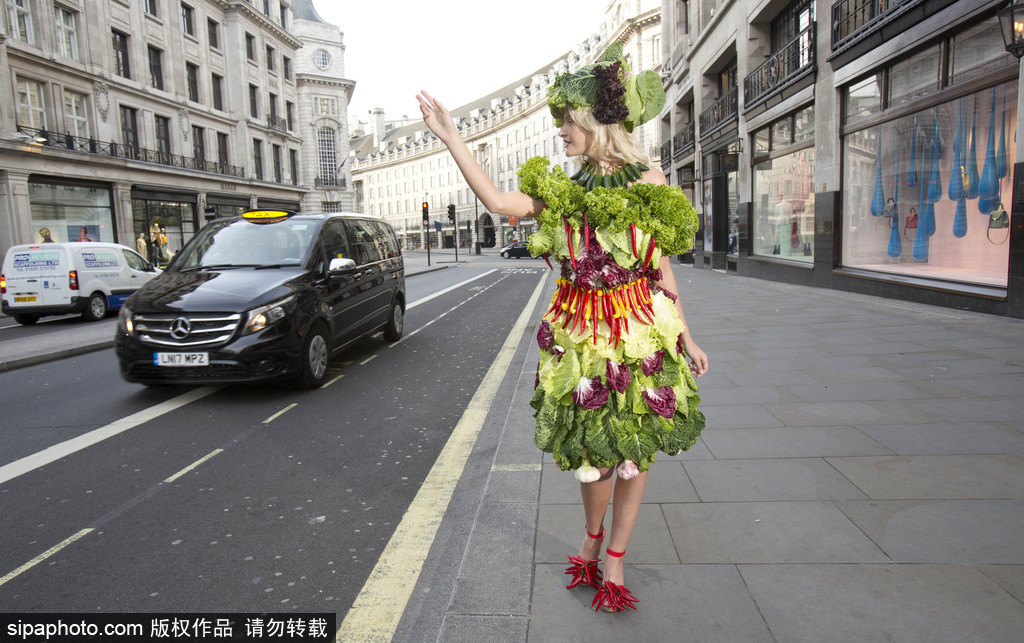 時尚bug沖擊！ 英國模特展示沙拉材料制成服裝
