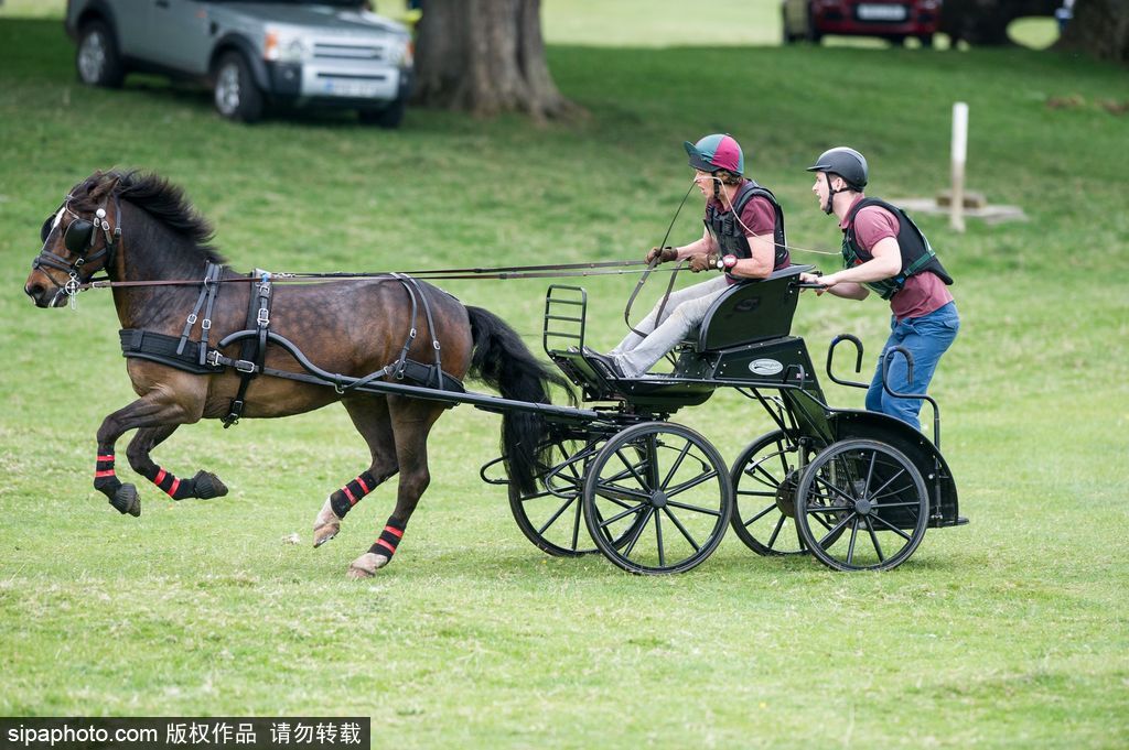 英國(guó)霍普頓四輪馬車賽激烈上演 菲利普親王坐車中悠閑觀賽