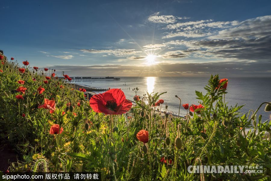 美到心坎里 英國索思沃爾德海邊風光