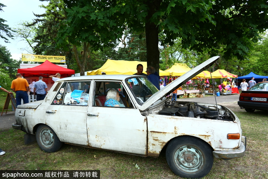 波蘭舉行復古車展 細數經典老爺車停留的歲月