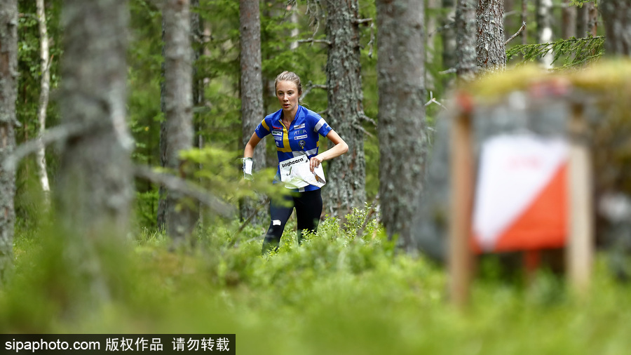 瑞典五日定向越野賽精彩開幕 男女老少齊上陣挑戰耐力極限