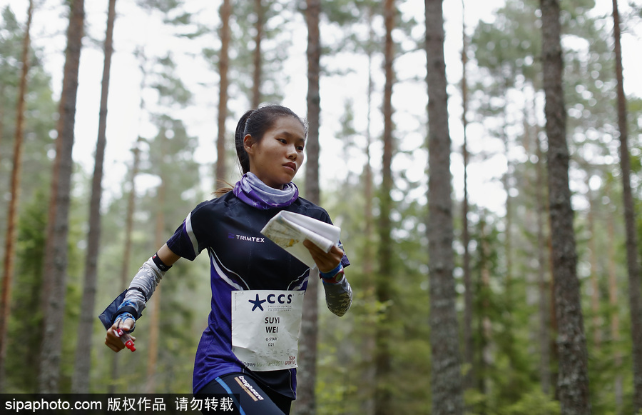 瑞典五日定向越野賽精彩開幕 男女老少齊上陣挑戰耐力極限
