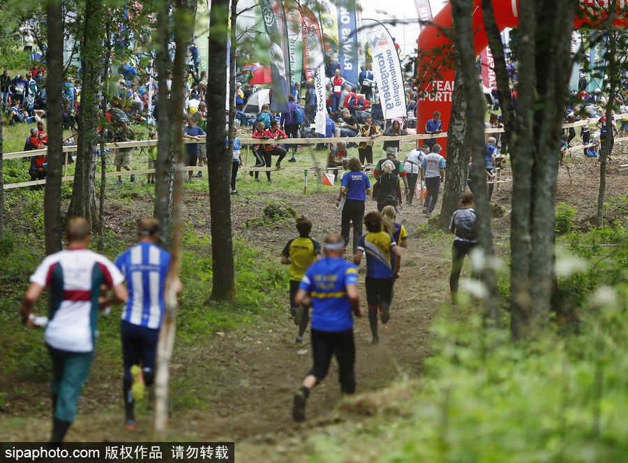瑞典五日定向越野賽精彩開幕 男女老少齊上陣挑戰耐力極限