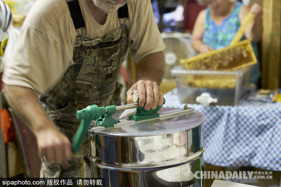 探訪美國弗農養蜂場 滴滴香甜原生態