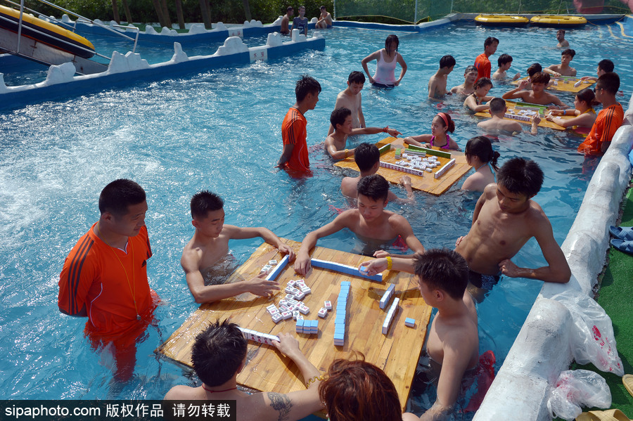 Word天！麻將或成為2022年冬奧會(huì)表演項(xiàng)目 中國(guó)國(guó)粹風(fēng)靡全球歪果仁也愛(ài)玩