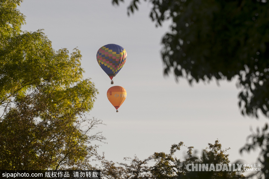 愛爾蘭舉行熱氣球錦標(biāo)賽 色彩點綴天空場景浪漫