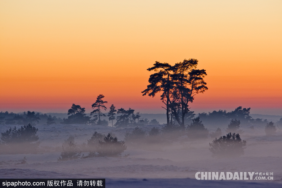降溫雪韻至 盤點最平凡的冬日美景