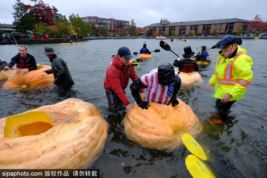 美國巨型南瓜賽舟會 選手劃小船趣味十足