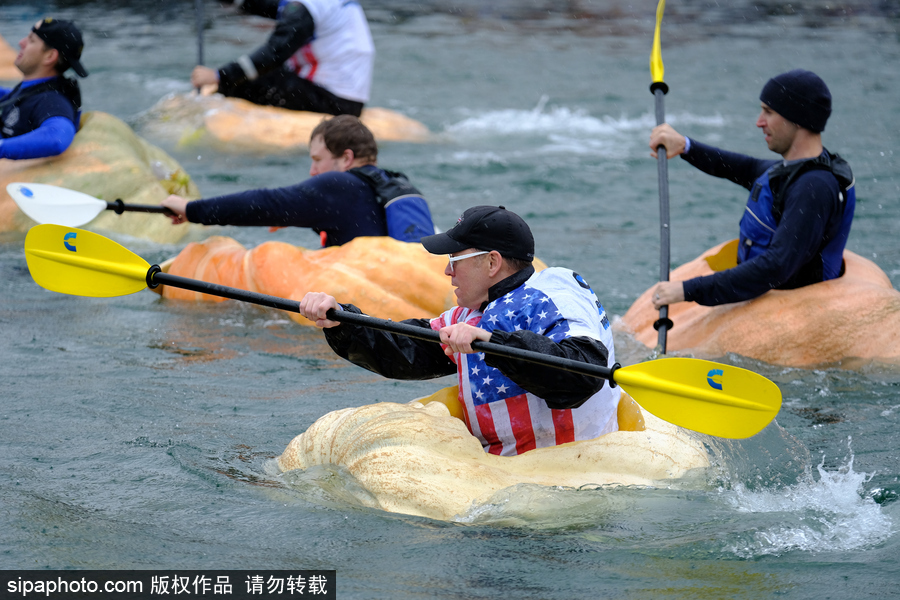 美國(guó)巨型南瓜賽舟會(huì) 選手劃小船趣味十足