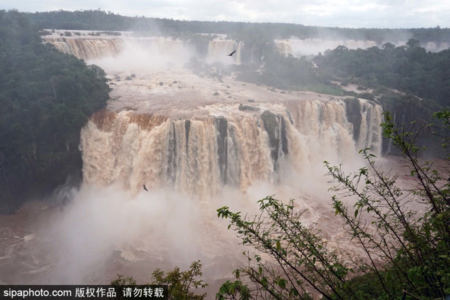 超震撼壯觀！大雨侵襲 伊瓜蘇瀑布流量達往日三倍