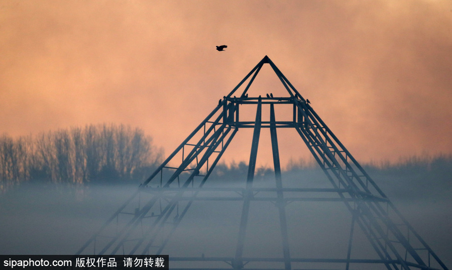 早晨一定要霧蒙蒙的才美 英國(guó)格拉斯頓堡晨霧風(fēng)光