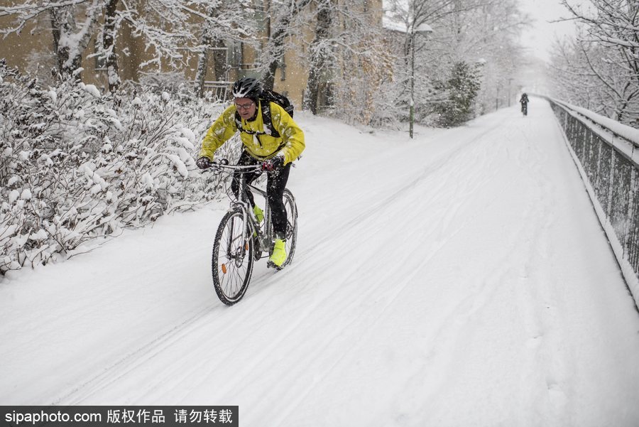 瑞典迎來今年第一場降雪 嚴(yán)重影響當(dāng)?shù)亟煌?/></p>

<p align=