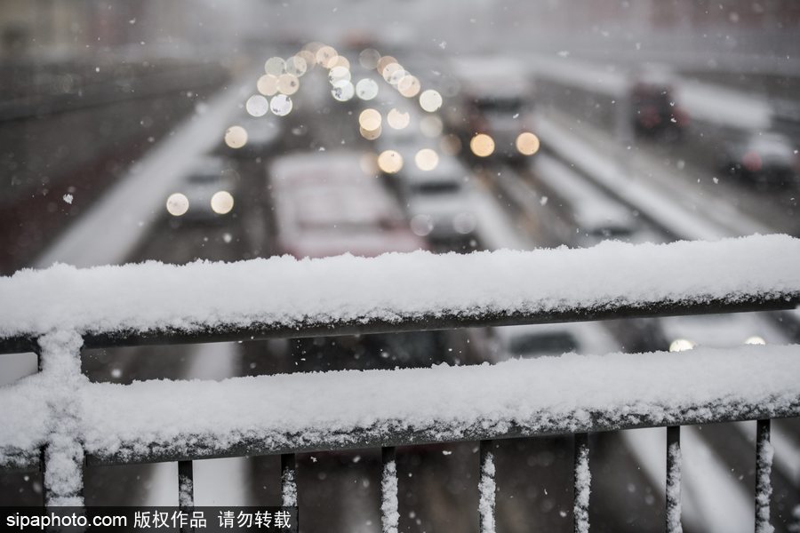 瑞典迎來今年第一場降雪 嚴重影響當?shù)亟煌?/></p>

<p align=