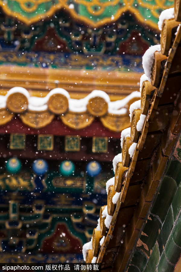 小雪節(jié)氣將至 盤點(diǎn)那些紛紛揚(yáng)揚(yáng)的日子