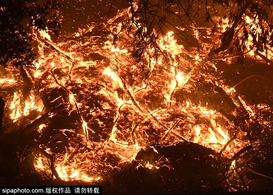美加州南部突發(fā)野火 場(chǎng)面震撼似“火海”