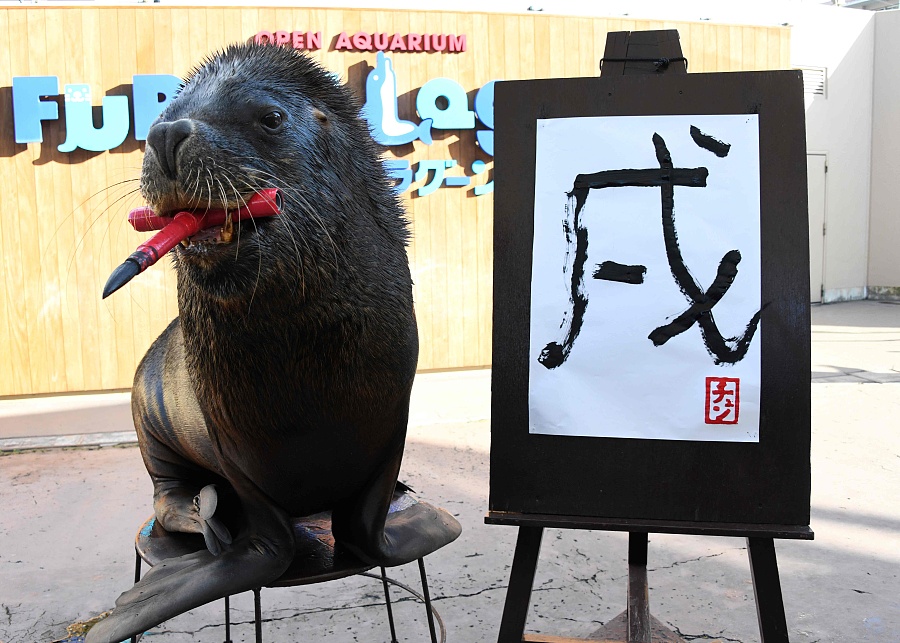 簡直成精了！日本海獅嘴咬毛筆寫“戌”字迎接狗年