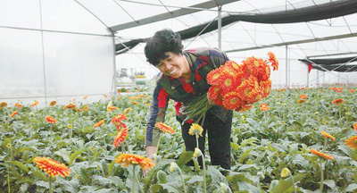 “有她在，我們放心！”——記福建省永安市小陶鎮五一村黨支部書記許光園
