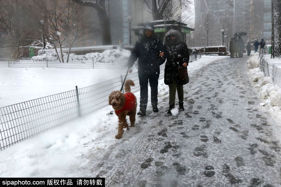 這波倒春寒來的迅猛！美國紐約遭遇暴雪天氣