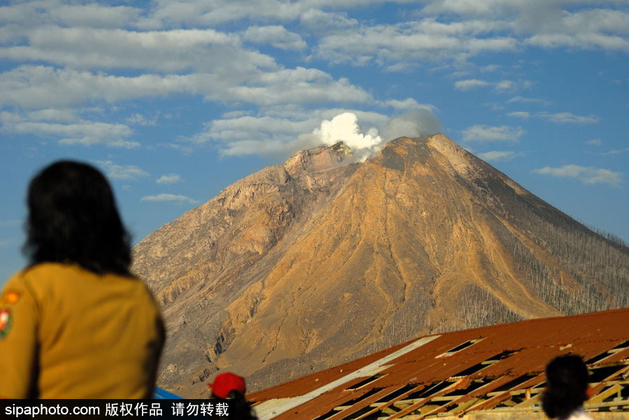 印尼錫納朋火山暫時趨于平緩 農民菜田淡定勞作