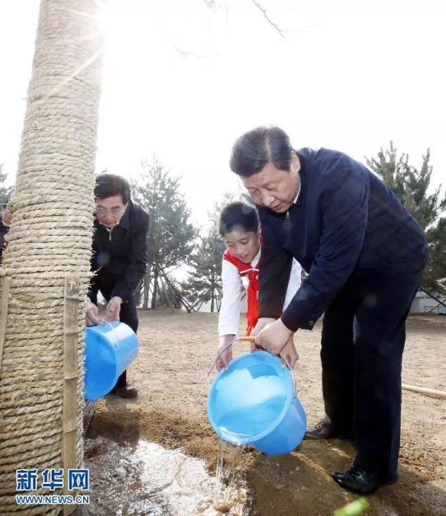 這件天下大事，看習近平是如何從“種一棵樹”做起的