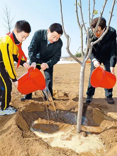 這件天下大事，看習近平是如何從“種一棵樹”做起的