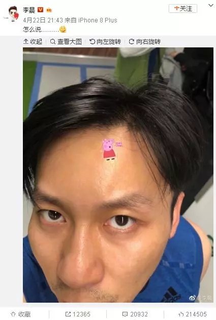 圈粉無數(shù)的小豬佩奇，到底為啥被叫做“社會人”？