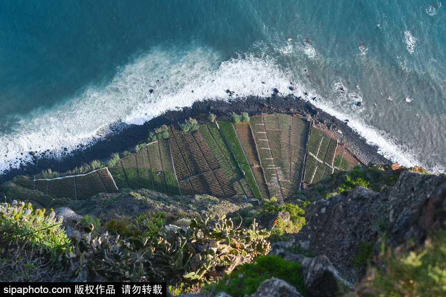 走進C羅的故鄉 小眾的“海上花園”馬德拉島